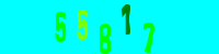 Blue Captcha Image